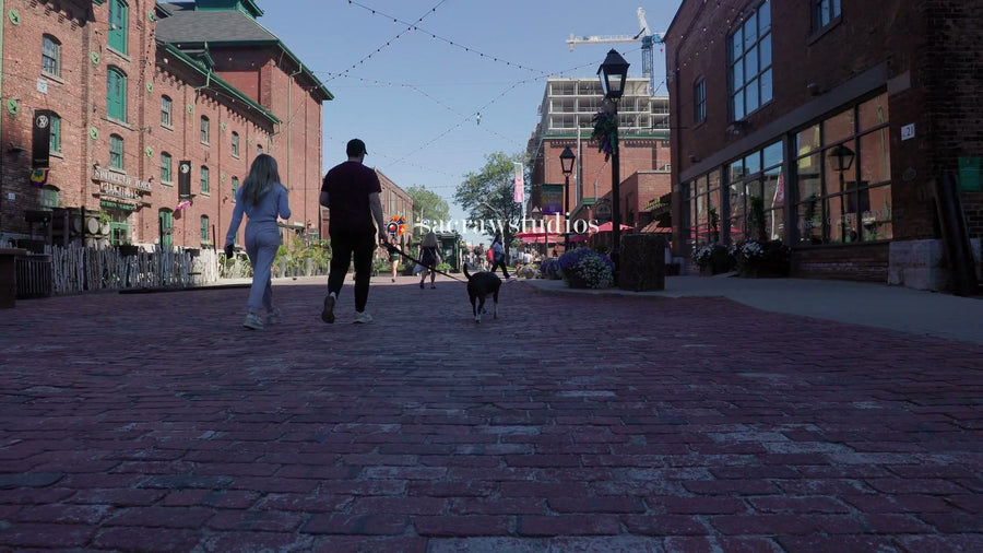 Couple Walking Dog on Cobblestone Street - 4K Street