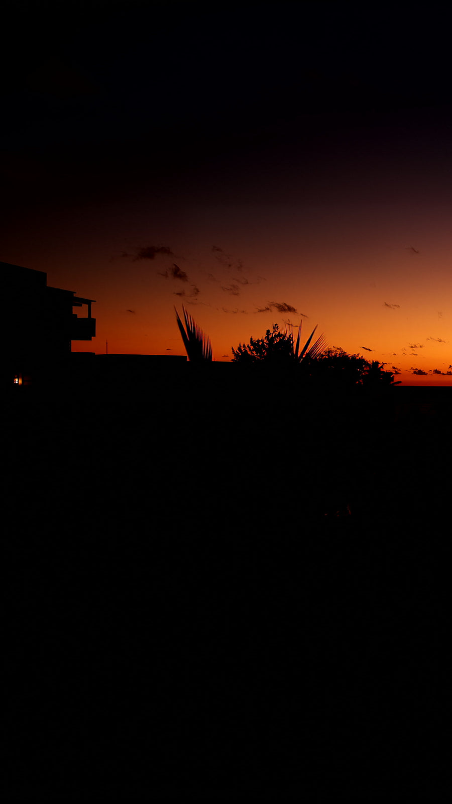 Caribbean Sunset Palm Silhouettes - Timelapse