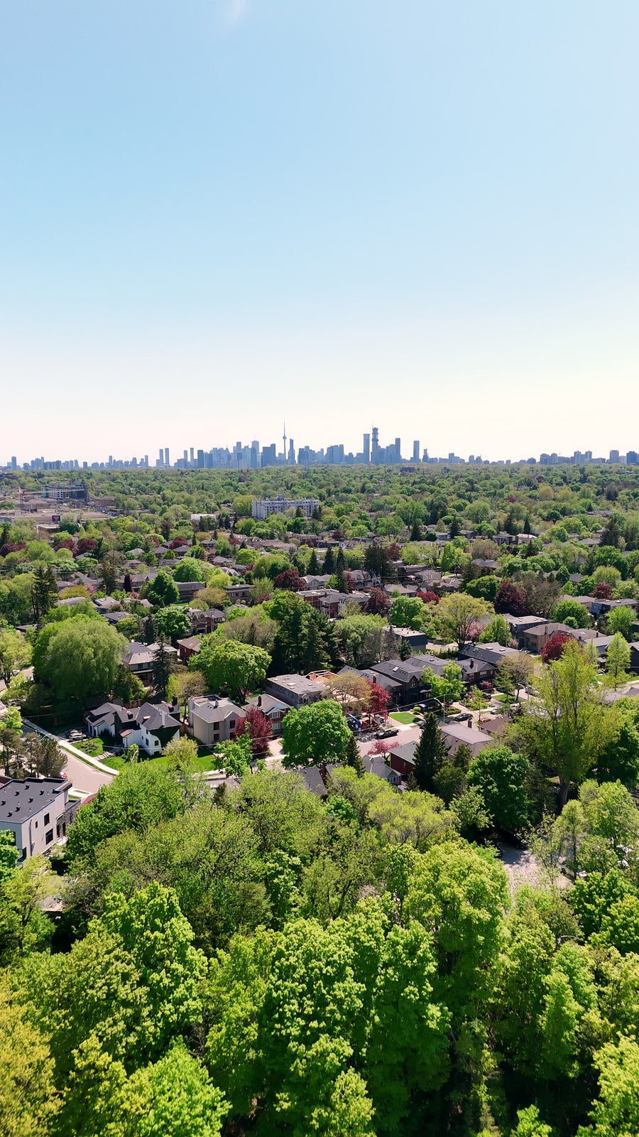 Suburban Canopy Distant City Skyline - Aerial Pan