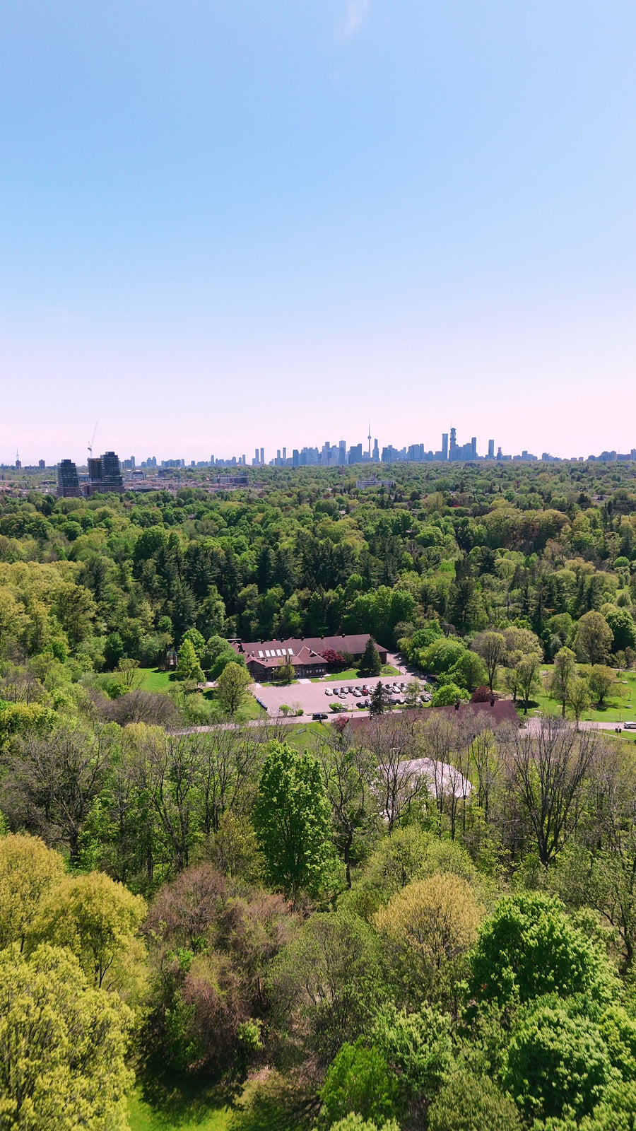 Toronto Park with Skyline Beyond - Dolly Aerial