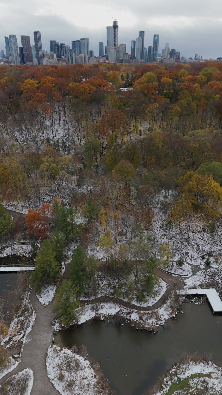 Toronto Ravine in Autumn Snow with Skyline - Aerial