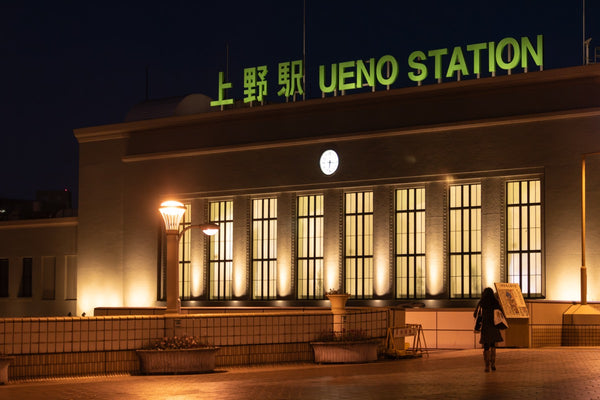 Ueno After Hours — room preview