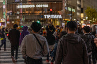 Suspended at the Signal in Japan — fine-art print