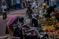 Morning Selection — fine-art print