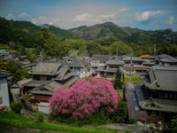 The Pink Guardian in Japan — fine-art print