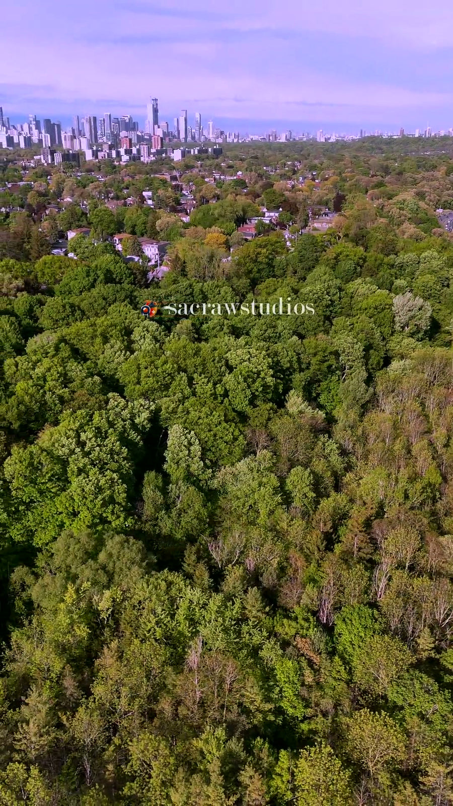 Forest to City Skyline Transition - Aerial Reveal