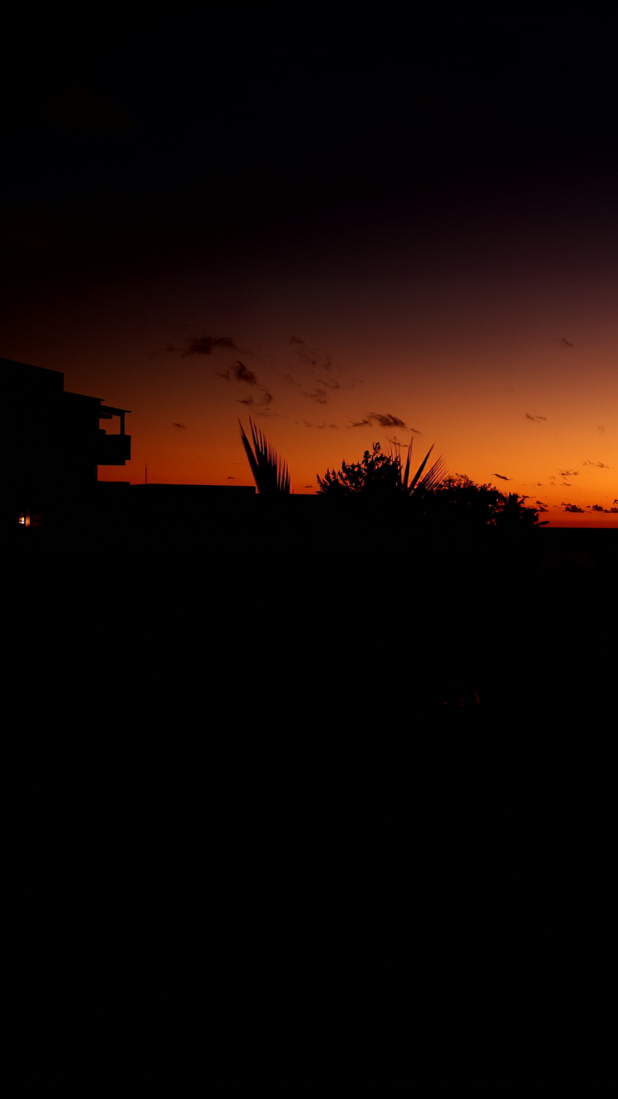 Caribbean Sunset Palm Silhouettes - Timelapse — 4K stock footage