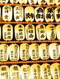 Names in Light