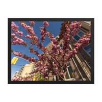 Bloom at the Signal — framed