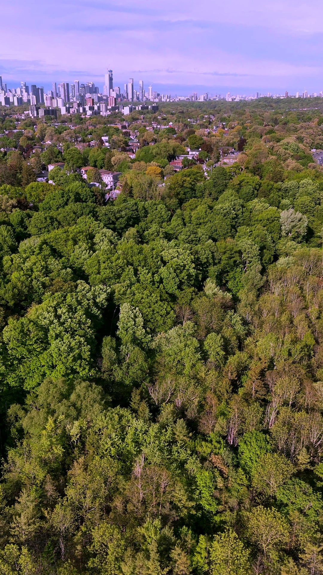 Forest to City Skyline Transition - Aerial Reveal — 4K stock footage