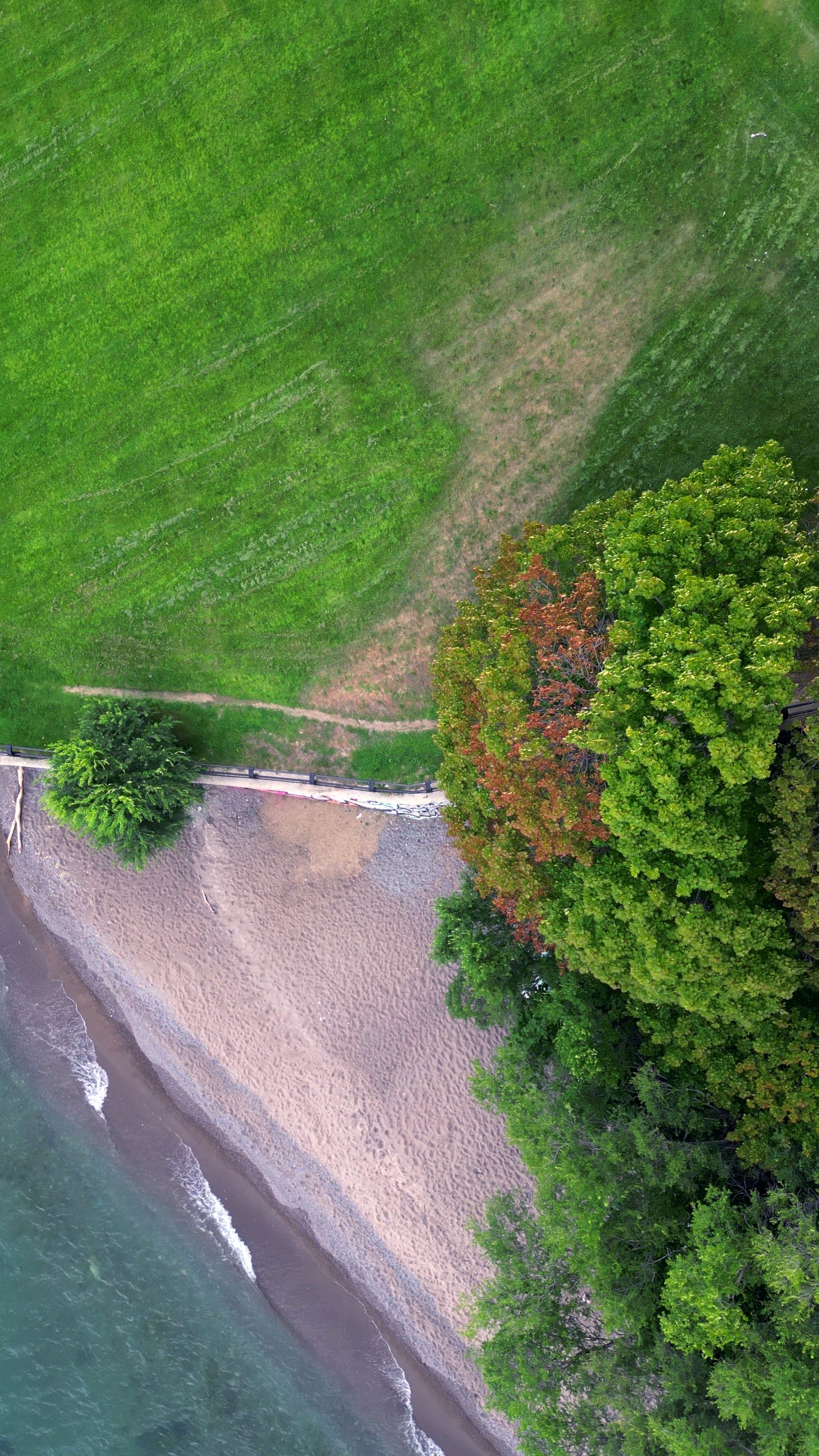 Pebble Beach Forest Coastline Shore - Aerial Tracking — 4K stock footage