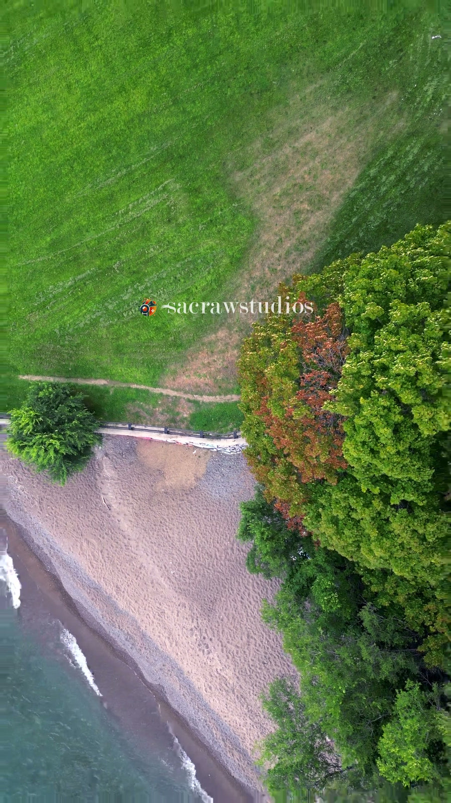 Pebble Beach Forest Coastline Shore - Aerial Tracking