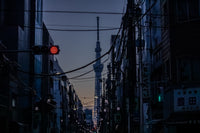 Signal Through the Wires in Tokyo at blue hour — fine-art print