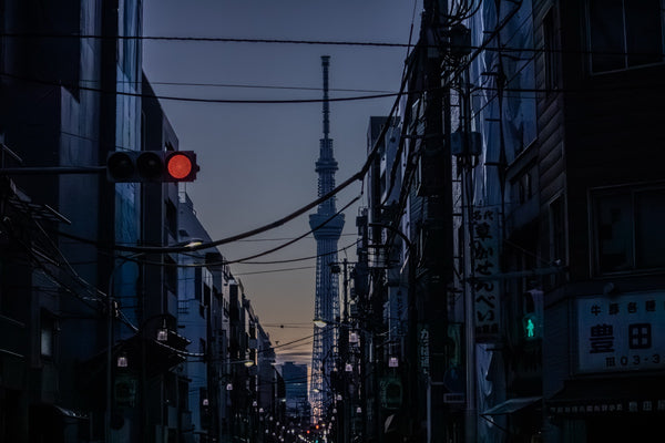 Signal Through the Wires — room preview