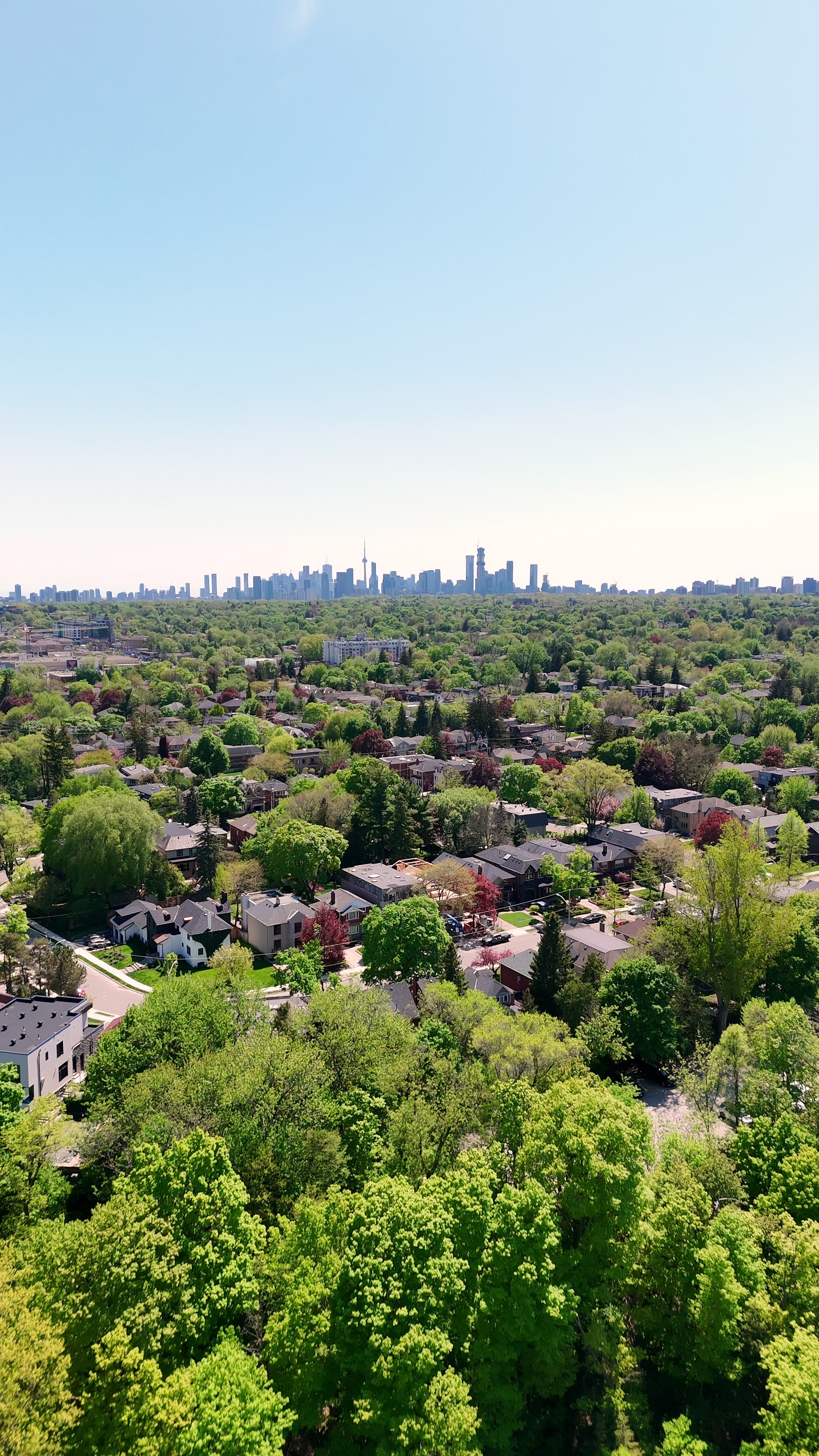 Suburban Canopy Distant City Skyline - Aerial Pan — 4K stock footage