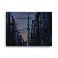 Signal Through the Wires — gallery canvas