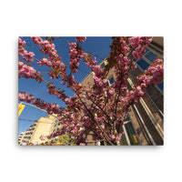 Bloom at the Signal — canvas
