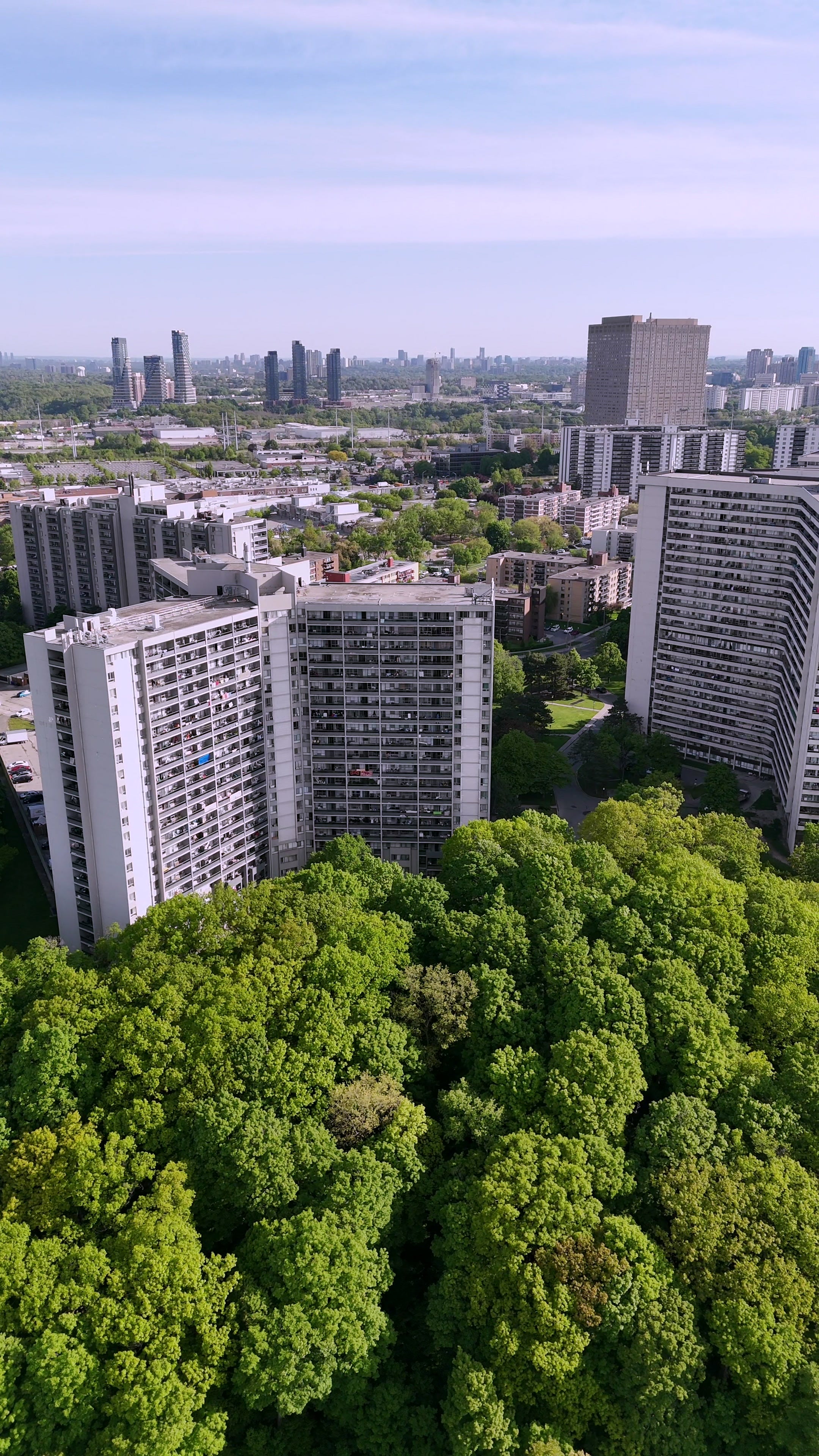 Residential Towers Amidst Lush Forest - Sunny Aerial in Toronto in summer — 4K stock footage