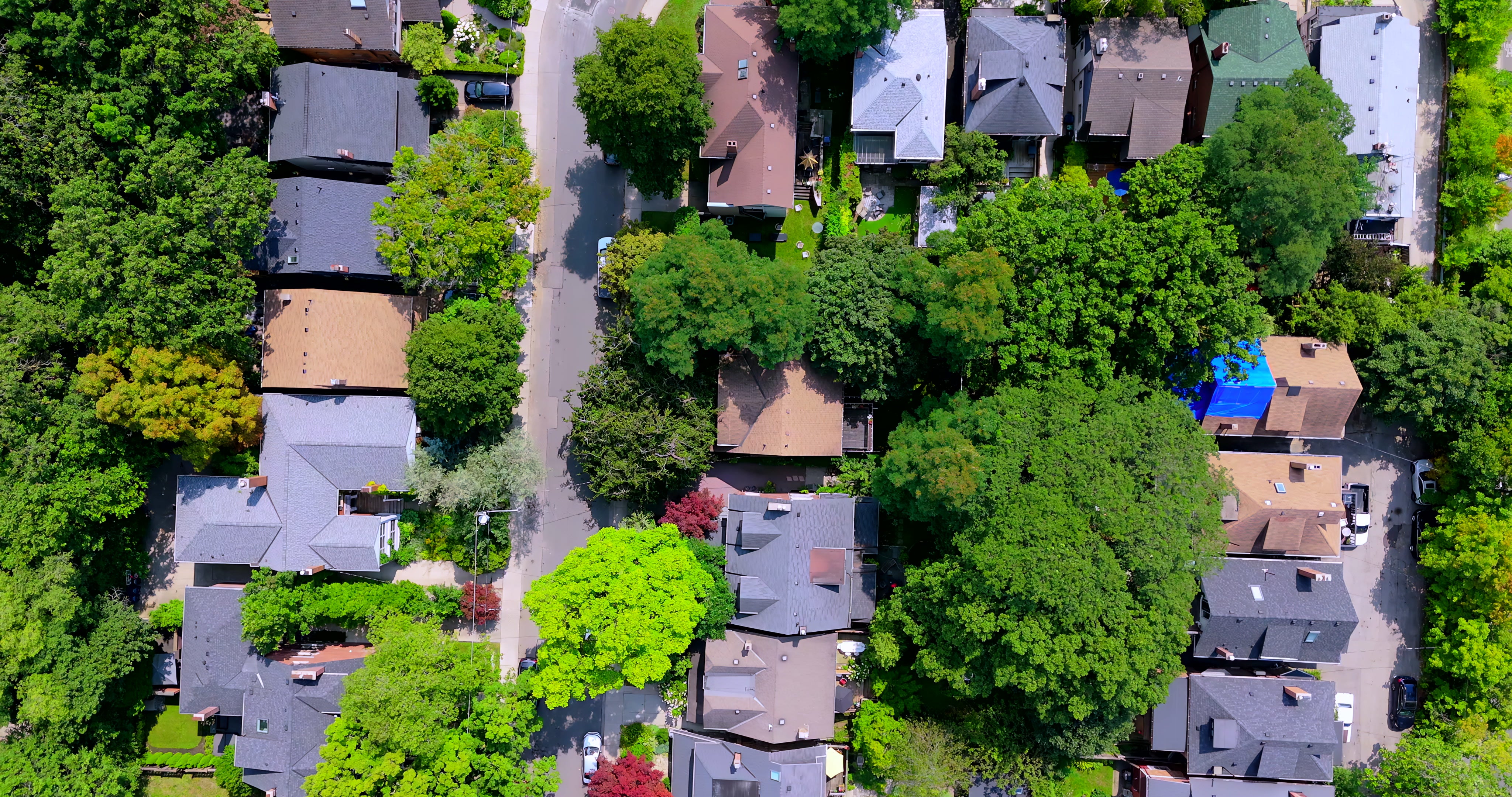 Lush Green Suburban Neighborhood with Tree - Lined Streets - Top Down in summer — 4K stock footage