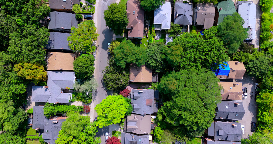 Lush Green Suburban Neighborhood with Tree-Lined Streets - Top Down