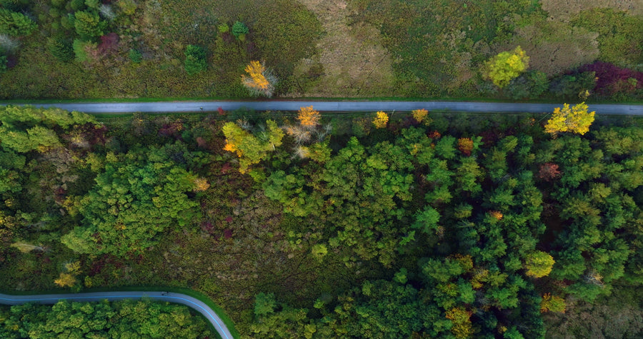 Aerial Top View of Winding Road Through Autumn Forest
