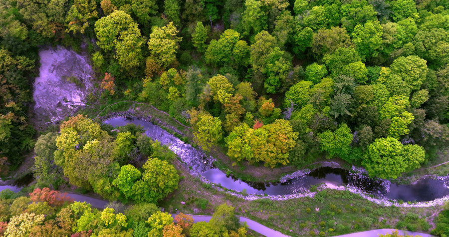 Winding River Through Lush Green Forest Valley - Aerial