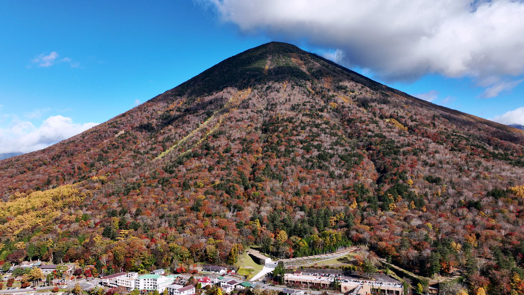 Aerial View of Mountain with Autumn Foliage and Lakeside Town — Premium 4K stock footage