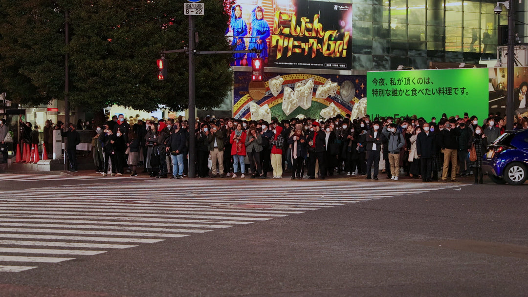 Crowd Waiting at Shibuya Crossing at Night with Traffic Passing By