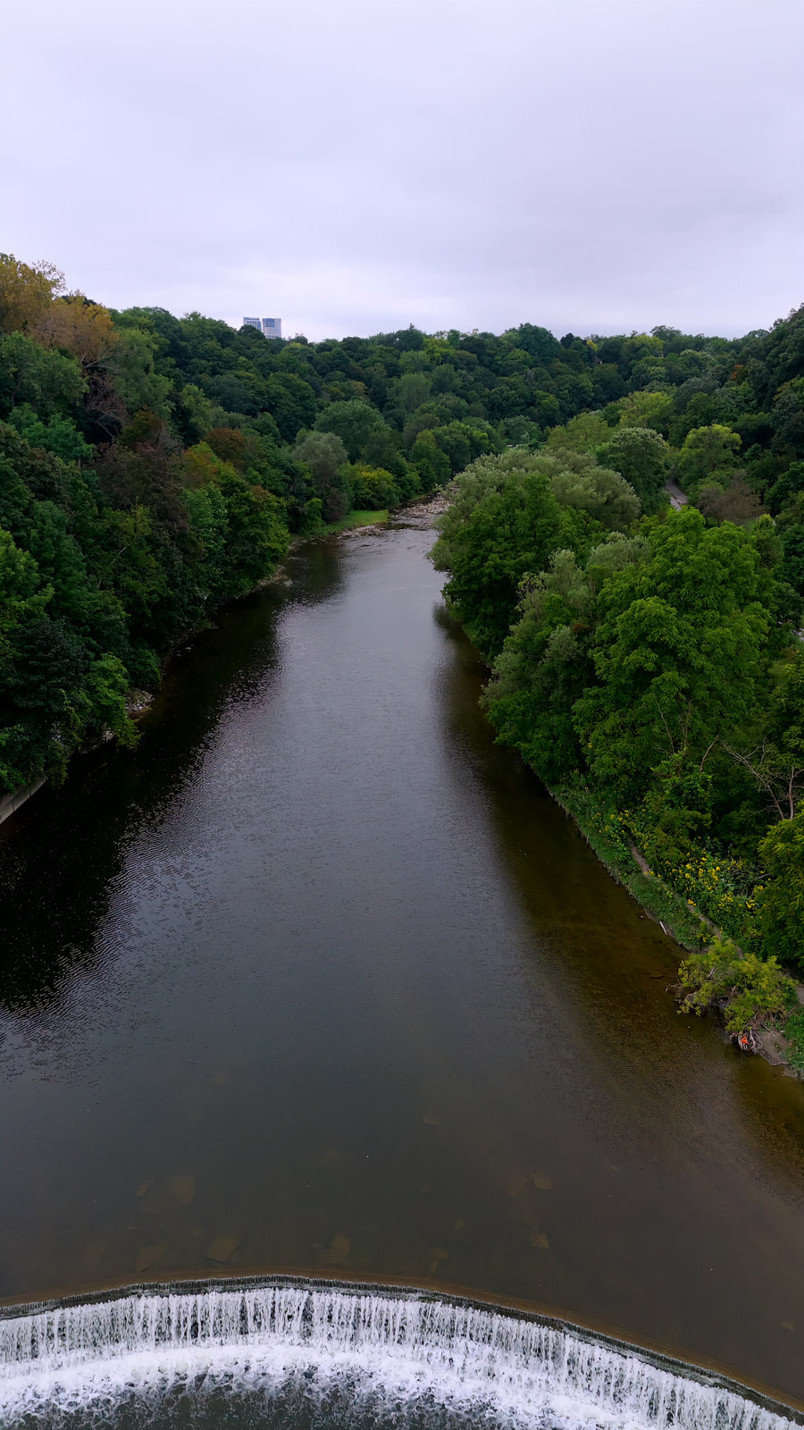 Serene River Through Lush Green Forest Valley - Aerial