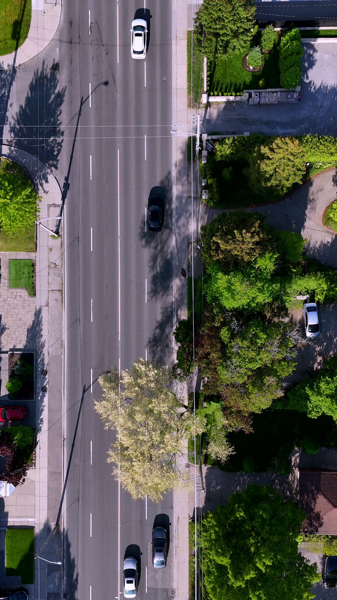 Aerial Top-Down View of Cars Driving on Suburban Road with Green Trees — Premium 4K stock footage