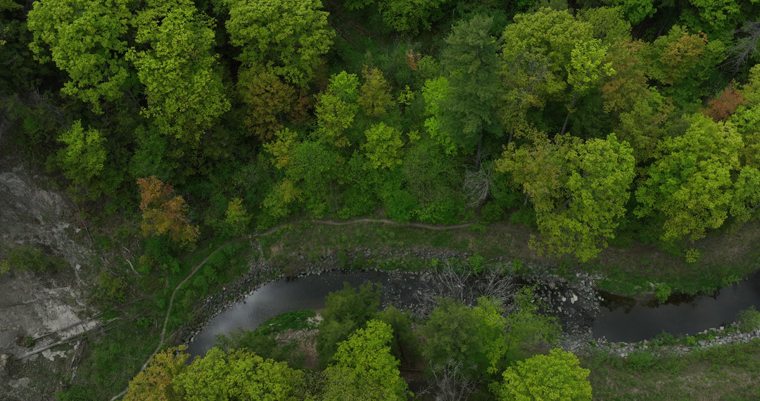 Lush Green Forest Winding River - DCI Aerial in Canada in summer — 4K stock footage