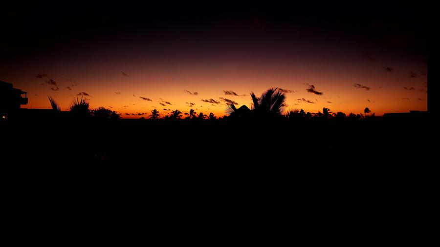 Tropical Sunrise Time Lapse with Palm Tree Silhouettes