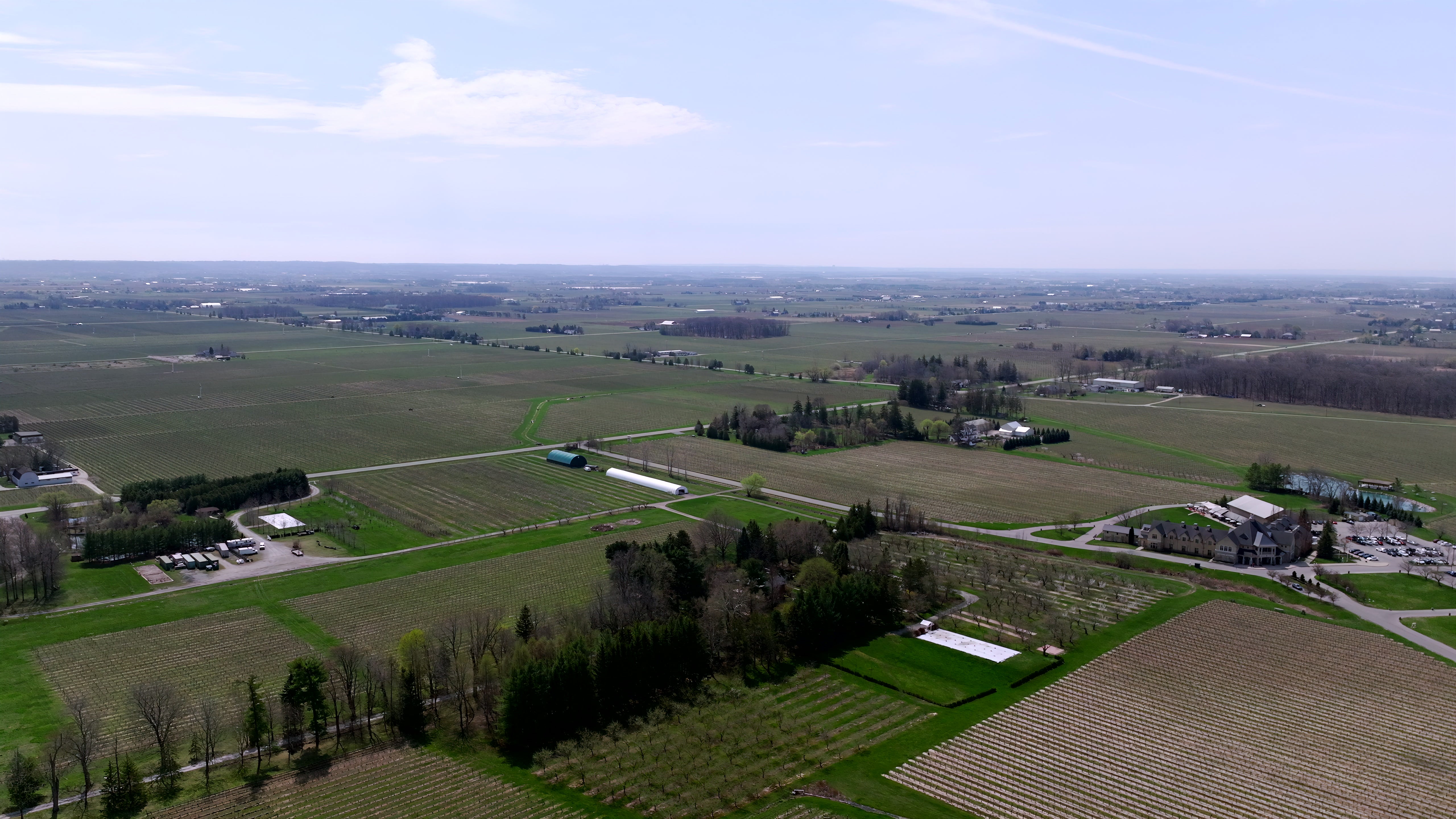Rural Farmland with Vineyards - Aerial in Canada — 4K stock footage