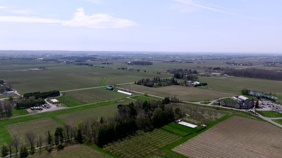 Rural Farmland with Vineyards - 5K Aerial