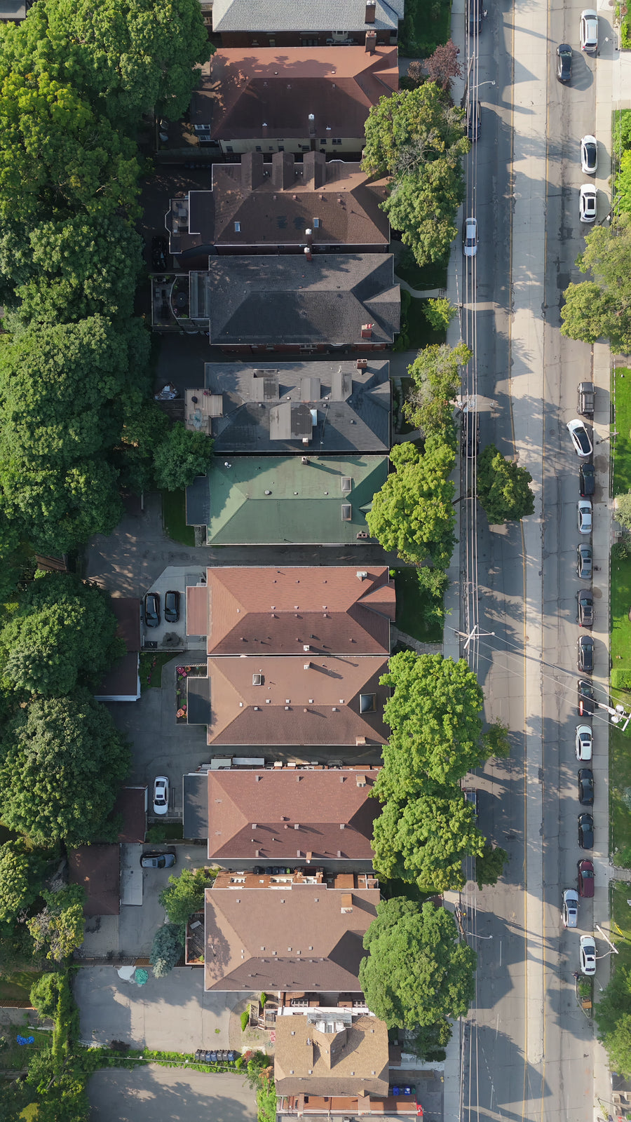 Toronto Residential Street in Summer - 5K Top Down