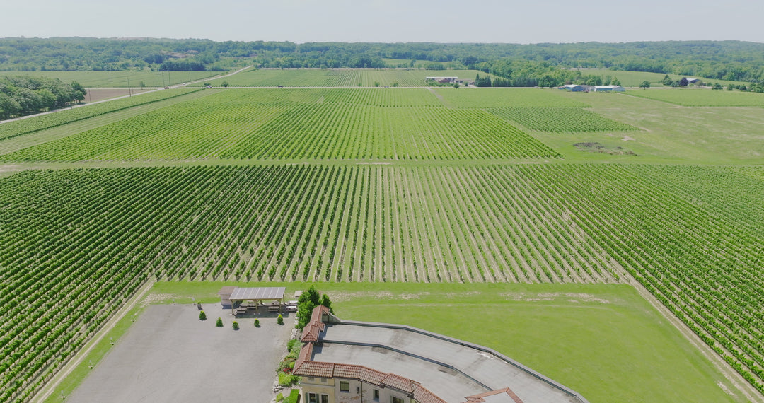 Aerial Drone View of Tuscan Style Vineyard Estate and Winery — Premium 4K stock footage
