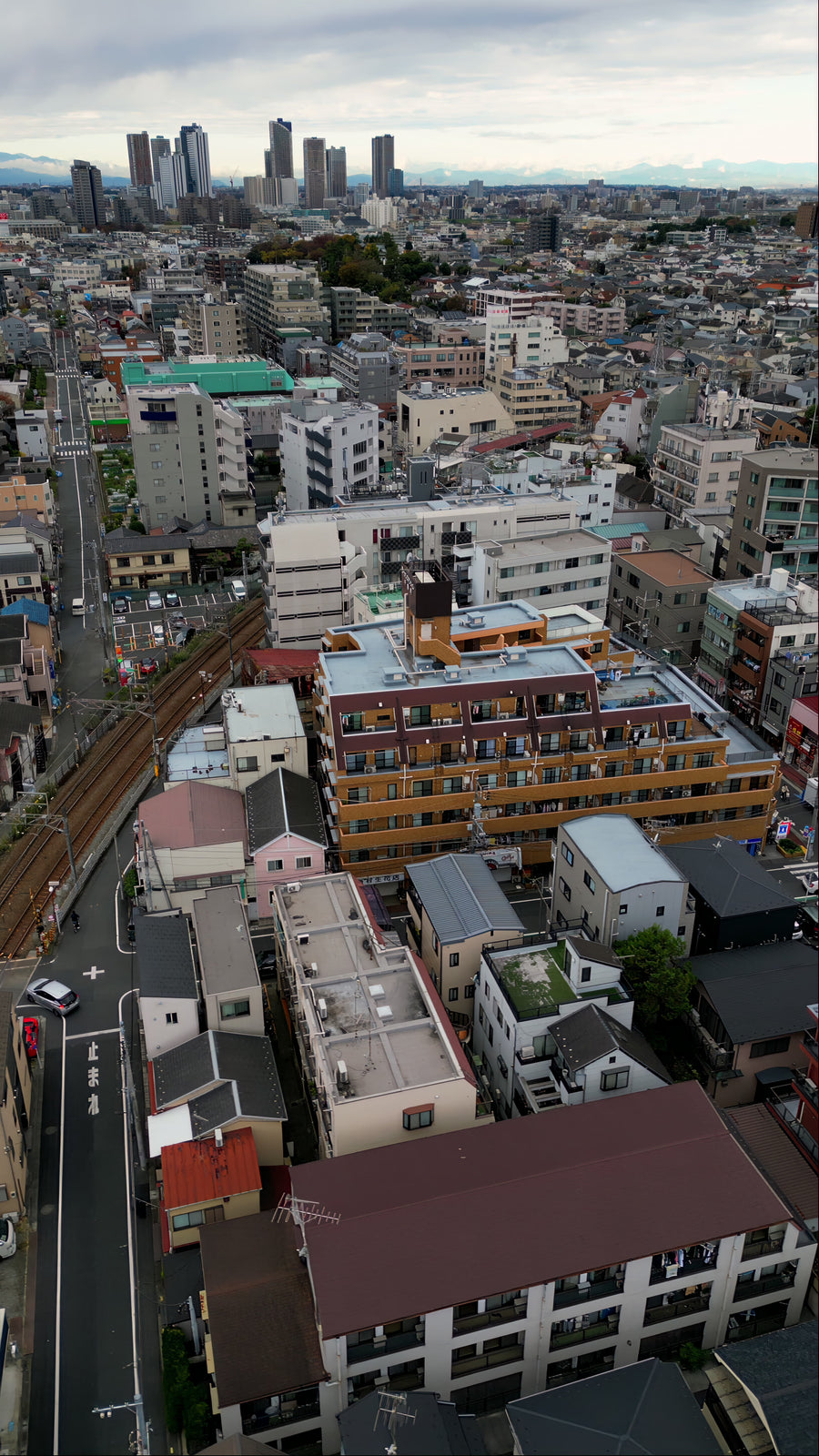 Tokyo Suburban Neighborhood with Distant Skyline - Vertical Aerial Pan