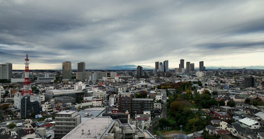 Tokyo Chidoricho Cityscape on Overcast Day - Aerial
