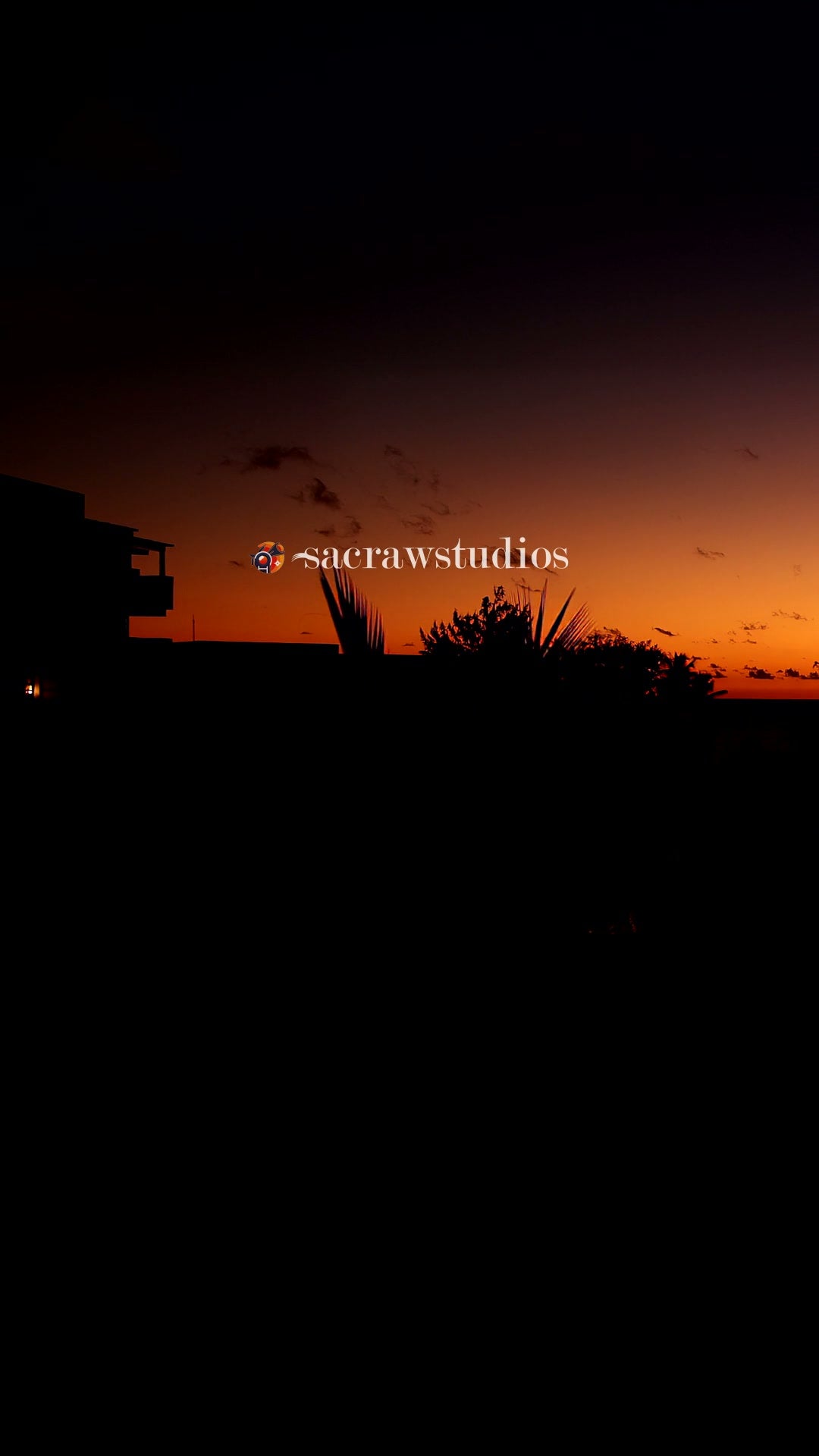 Timelapse of tropical sunset with silhouetted palm trees